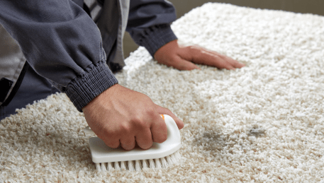 Professional Rug Cleaning Freshwater Creek
